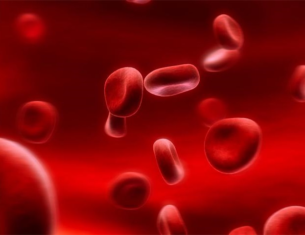 Повышаем тромбоциты в крови
