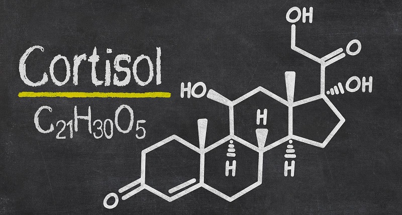 Кортизол и его формула